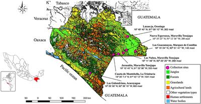 An Integrated Molecular Approach to Untangling Host–Vector–Pathogen Interactions in Mosquitoes (Diptera: Culicidae) From Sylvan Communities in Mexico